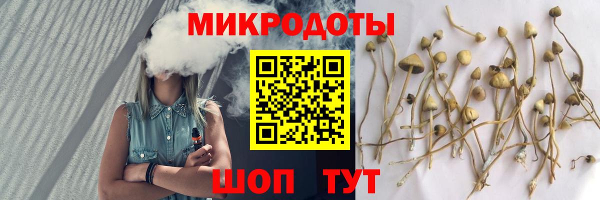 Узловая  Галлюциногенные грибы ЛСД  Псилоцибиновые грибы Magic Shrooms  Вход с VPN 