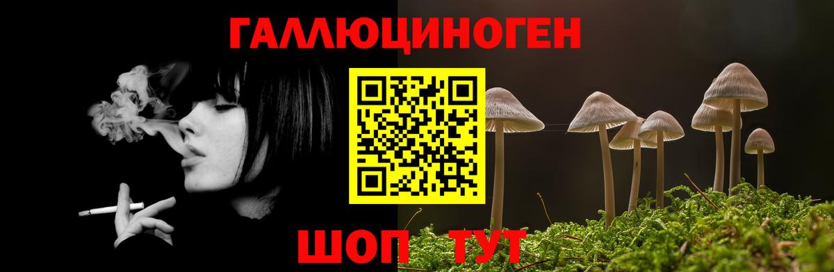 Галлюциногенные грибы прущие грибы Узловая
